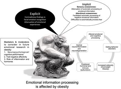 Adiposity affects emotional information processing